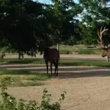 Osborn Farm photo