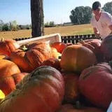 Osborn Farm photo