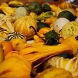 Osborn Farm photo