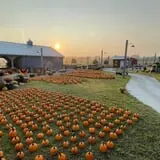 Waynesville Fall Fest