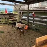 Appleview Orchard photo
