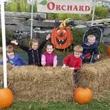 Appleview Orchard photo