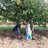 Appleview Orchard photo