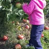 Belkin Family Lookout Farm photo