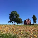 Belkin Family Lookout Farm photo