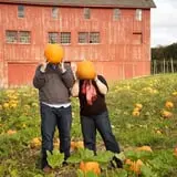 Belkin Family Lookout Farm photo