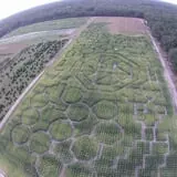 R and J Farm Corn Maze & Hayride photo