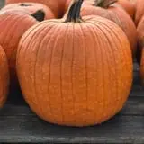 R and J Farm Corn Maze & Hayride photo