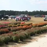 R and J Farm Corn Maze & Hayride photo