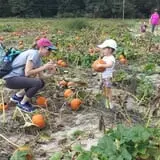 R and J Farm Corn Maze & Hayride photo