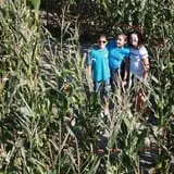 R and J Farm Corn Maze & Hayride photo