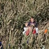 R and J Farm Corn Maze & Hayride photo
