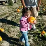 R and J Farm Corn Maze & Hayride photo
