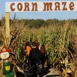 R and J Farm Corn Maze & Hayride photo