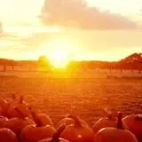 R and J Farm Corn Maze & Hayride photo