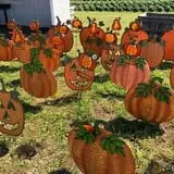 R and J Farm Corn Maze & Hayride photo