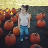 R and J Farm Corn Maze & Hayride photo