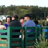 R and J Farm Corn Maze & Hayride photo