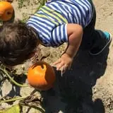 R and J Farm Corn Maze & Hayride photo