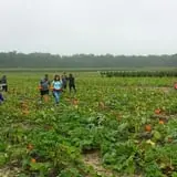 R and J Farm Corn Maze & Hayride photo