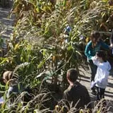 R and J Farm Corn Maze & Hayride photo