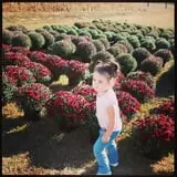 R and J Farm Corn Maze & Hayride photo