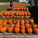 R and J Farm Corn Maze & Hayride photo