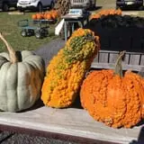 R and J Farm Corn Maze & Hayride photo