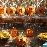 R and J Farm Corn Maze & Hayride photo