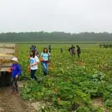 R and J Farm Corn Maze & Hayride photo