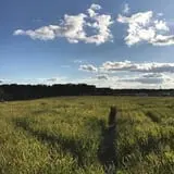 R and J Farm Corn Maze & Hayride photo