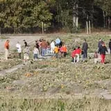 R and J Farm Corn Maze & Hayride photo