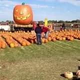 Trabbic Family Pumpkin Farm photo