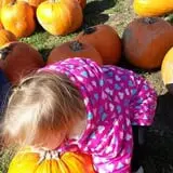 Trabbic Family Pumpkin Farm photo