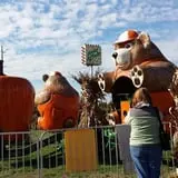 Trabbic Family Pumpkin Farm photo