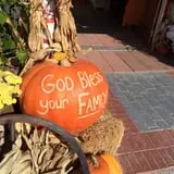 Trabbic Family Pumpkin Farm photo