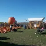 Trabbic Family Pumpkin Farm photo