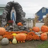 Trabbic Family Pumpkin Farm photo