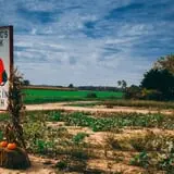 Trabbic Family Pumpkin Farm photo