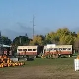 Trabbic Family Pumpkin Farm photo
