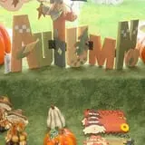 Trabbic Family Pumpkin Farm photo