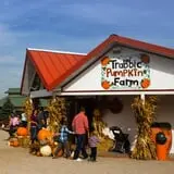 Trabbic Family Pumpkin Farm photo