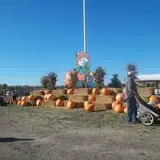 Trabbic Family Pumpkin Farm photo