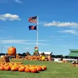 Trabbic Family Pumpkin Farm photo