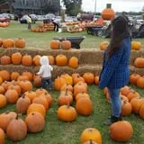 Trabbic Family Pumpkin Farm photo