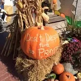 Trabbic Family Pumpkin Farm photo