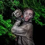 Wicked Whimsies photo