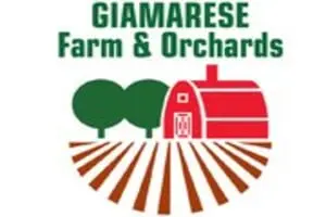 Giamarese Farm Corn Maze & Hayride
