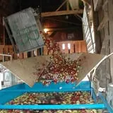 Uncle John's Cider Mill photo