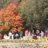 Uncle John's Cider Mill photo